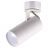Спот Odeon Light Corse 3873/1C