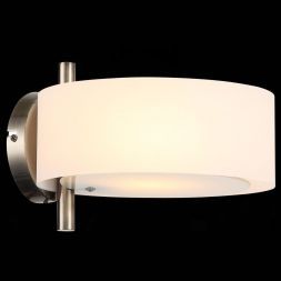 Светильник настенный Evoluce SL483.351.01 FORESTA