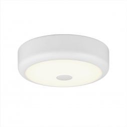 Светильник настенно-потолочный Citilux CL706110