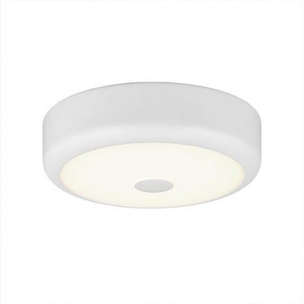 Светильник настенно-потолочный Citilux CL706110