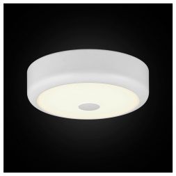 Светильник настенно-потолочный Citilux CL706110