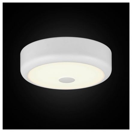 Светильник настенно-потолочный Citilux CL706110