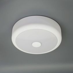 Светильник настенно-потолочный Citilux CL706110