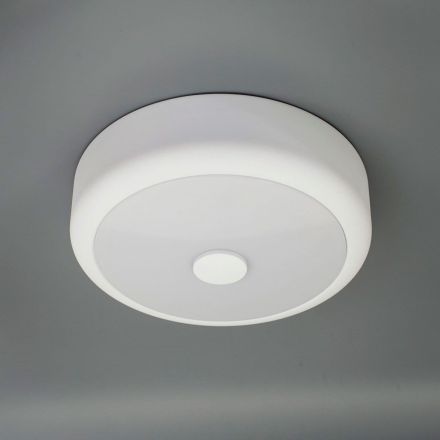 Светильник настенно-потолочный Citilux CL706110