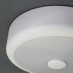 Светильник настенно-потолочный Citilux CL706110