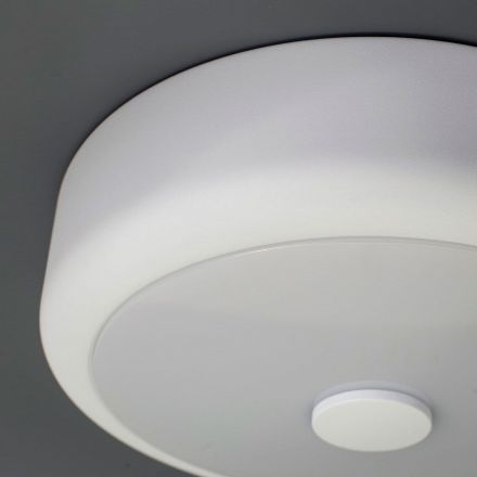 Светильник настенно-потолочный Citilux CL706110