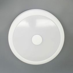 Светильник настенно-потолочный Citilux CL706110