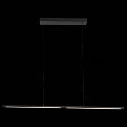 Светильник подвесной ST Luce SL1580.403.01 RALIO
