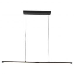 Светильник подвесной ST Luce SL1580.403.01 RALIO