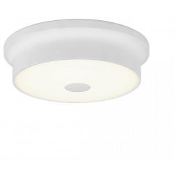Светильник настенно-потолочный Citilux CL706210