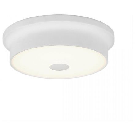 Светильник настенно-потолочный Citilux CL706210