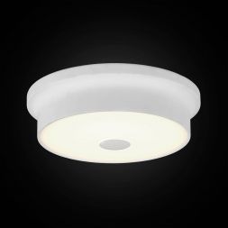 Светильник настенно-потолочный Citilux CL706210