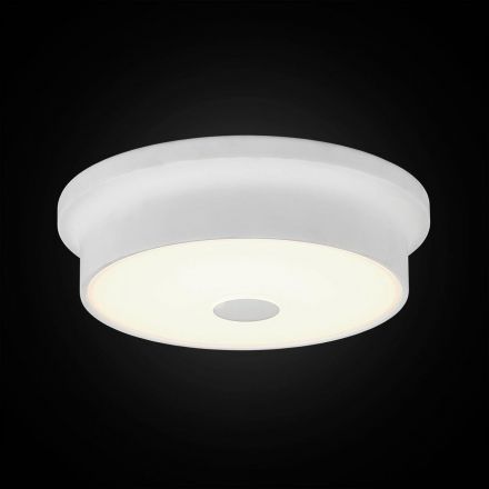 Светильник настенно-потолочный Citilux CL706210