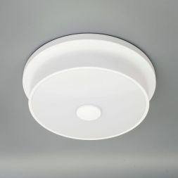 Светильник настенно-потолочный Citilux CL706210