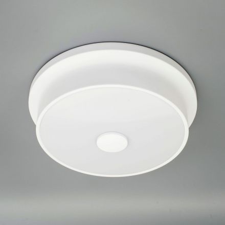 Светильник настенно-потолочный Citilux CL706210