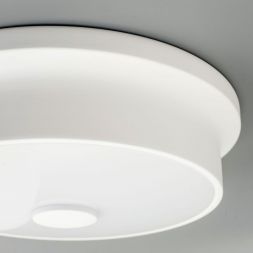 Светильник настенно-потолочный Citilux CL706210