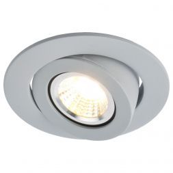 Светильник потолочный Arte Lamp A4009PL-1GY