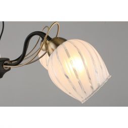 Потолочная люстра Omnilux OML-65507-05