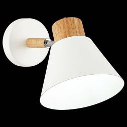 Светильник настенный Evoluce SLE103701-01 BUVE