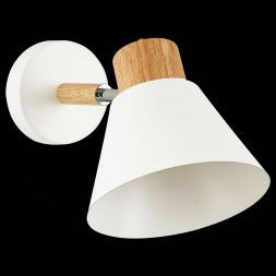 Светильник настенный Evoluce SLE103701-01 BUVE