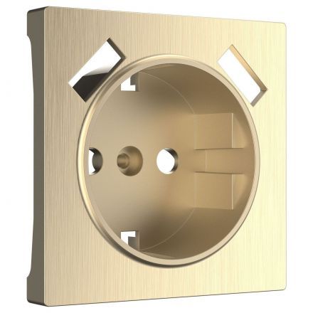 Накладка для розетки + USB Werkel W1179510 шампань рифленый (WL10-USB-CP)
