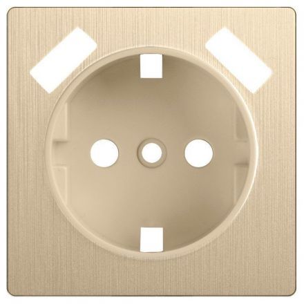 Накладка для розетки + USB Werkel W1179510 шампань рифленый (WL10-USB-CP)