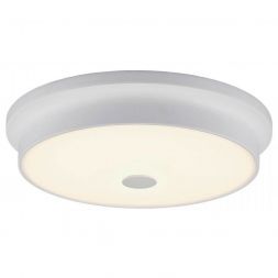 Светильник настенно-потолочный Citilux CL706230