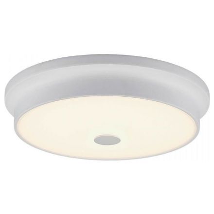 Светильник настенно-потолочный Citilux CL706230
