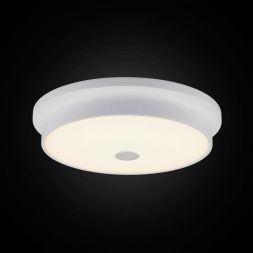 Светильник настенно-потолочный Citilux CL706230