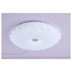 Настенно-потолочный светильник Camelion LBS-1005 (68Вт, 4800Лм)