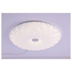 Настенно-потолочный светильник Camelion LBS-1005 (68Вт, 4800Лм)