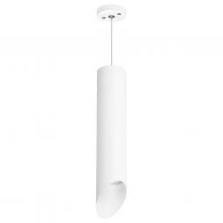 Светильник подвесной Lightstar Rullo RP49636