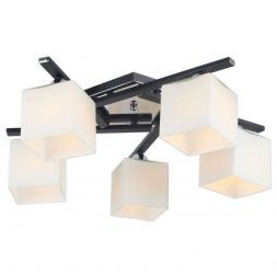 Потолочный светильник Arte Lamp A8165PL-5BK