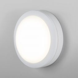 Пылевлагозащищенный светодиодный светильник Elektrostandard LTB51 LED 15W 6500K Белый