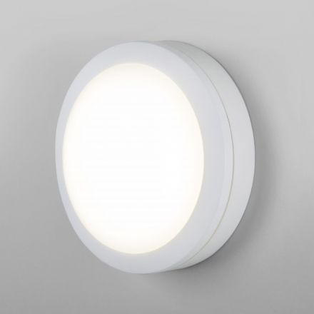 Пылевлагозащищенный светодиодный светильник Elektrostandard LTB51 LED 15W 6500K Белый