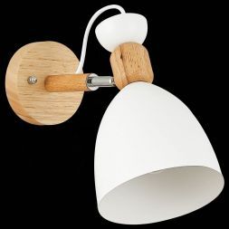 Светильник настенный Evoluce SLE103801-01 BALCAMO