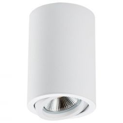 Потолочный светильник Lightstar Rullo 214406