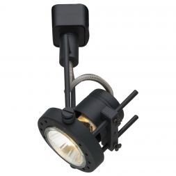Светильник потолочный Arte Lamp A4300PL-1BK