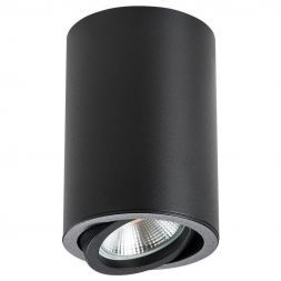 Потолочный светильник Lightstar Rullo 214407