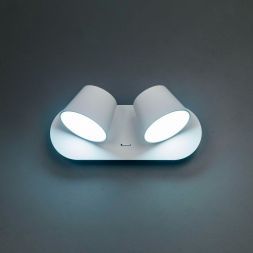 Спот Citilux CL533320N