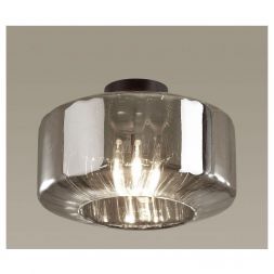 Потолочный светильник Odeon Light 4746/1C Binga