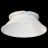 Отражатель Maytoni Technical C060-01W Virar