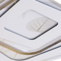 Потолочный светодиодный светильник Arte Lamp A1399PL-1CL