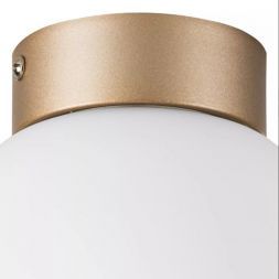 Настенно-потолочный светильник Lightstar Globo 812013