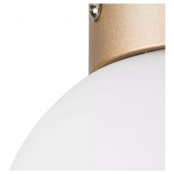 Настенно-потолочный светильник Lightstar Globo 812013