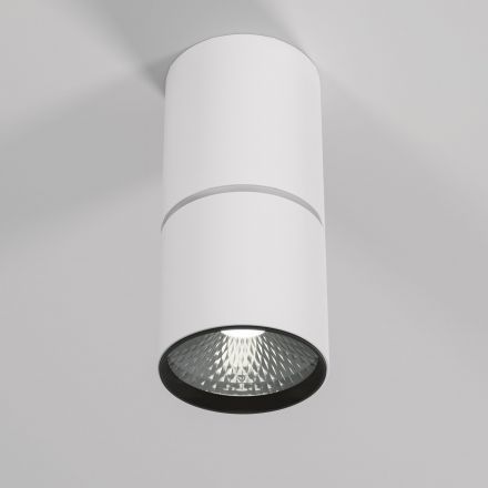 Светильник потолочный светодиодный Elektrostandard 25042/LED 10W 4000K белый