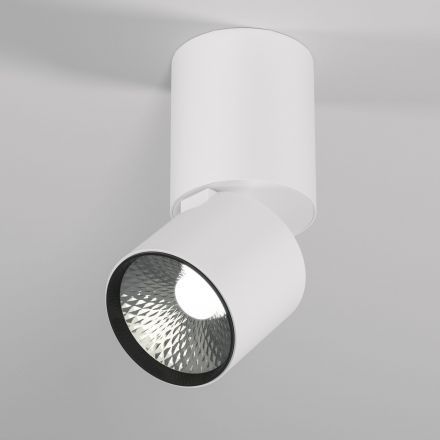 Светильник потолочный светодиодный Elektrostandard 25042/LED 10W 4000K белый