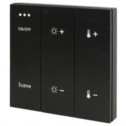 Панель управления ДУ ST Luce ST015.400.99