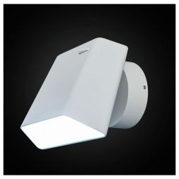 Спот Citilux CL533410N