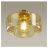 Потолочный светильник Odeon Light 4747/1C Binga